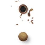 Lakrids by Bülow chocolate‑coated liquorice close‑up