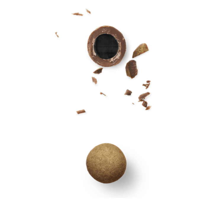 Lakrids by Bülow chocolate‑coated liquorice close‑up