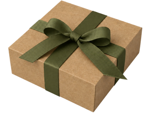 Gift Box and Ribbon - Brown & Olive