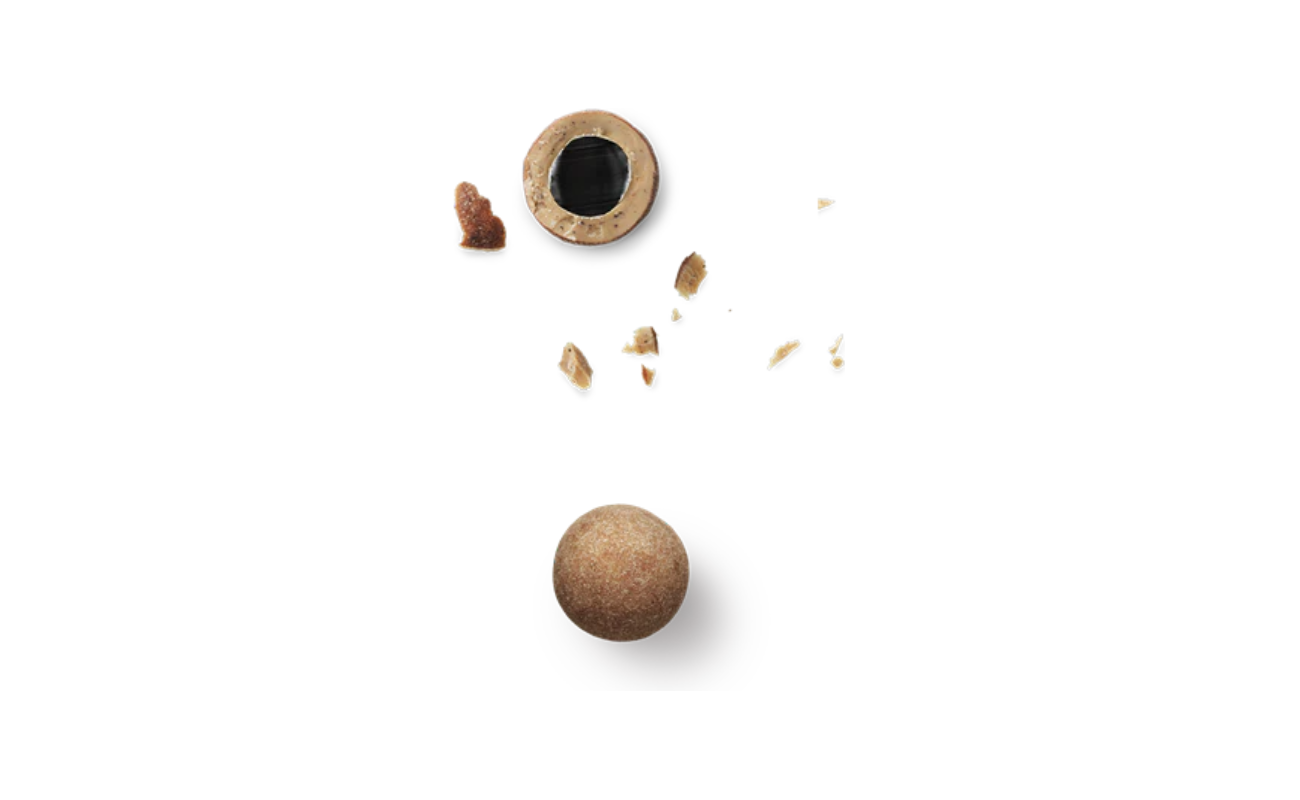 Salt and caramel chocolate‑coated liquorice close‑up
