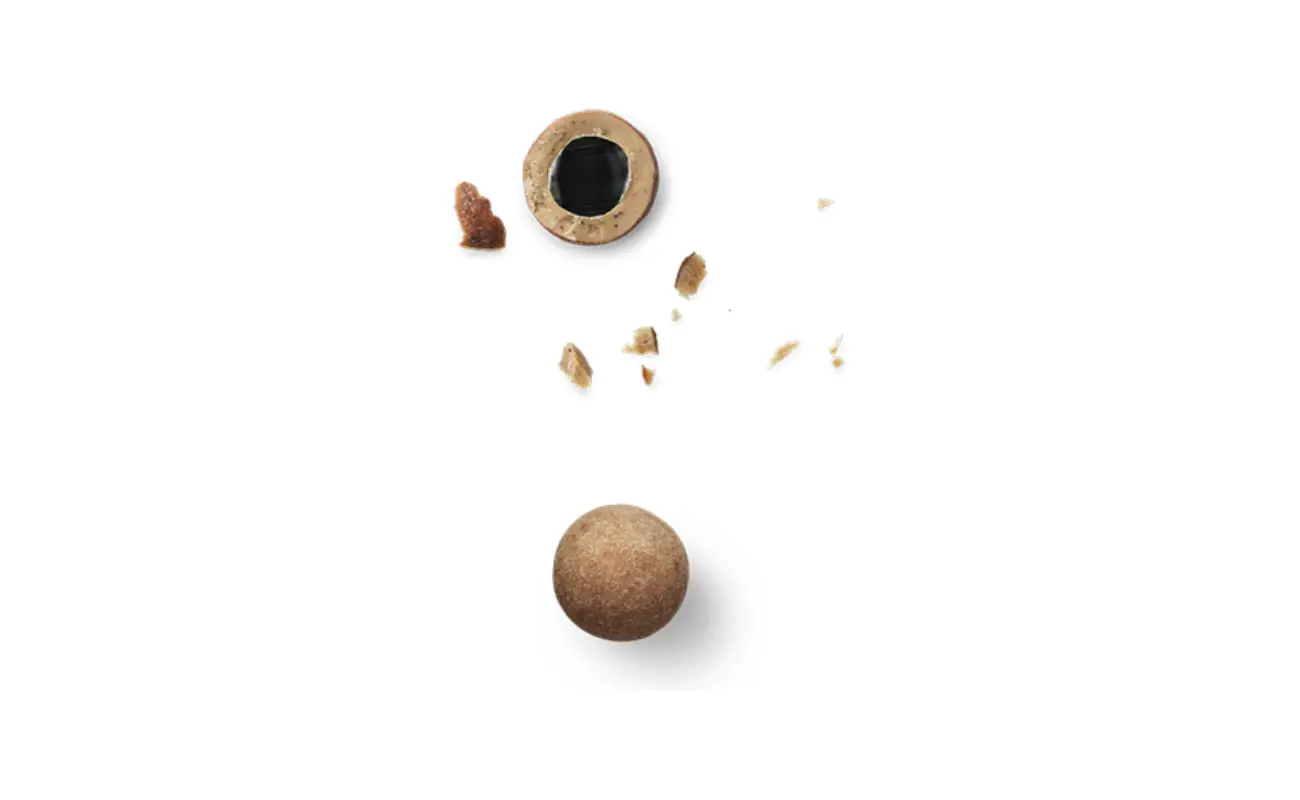 Salt and caramel chocolate‑coated liquorice close‑up