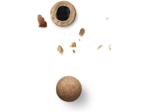 Salt and caramel chocolate‑coated liquorice close‑up