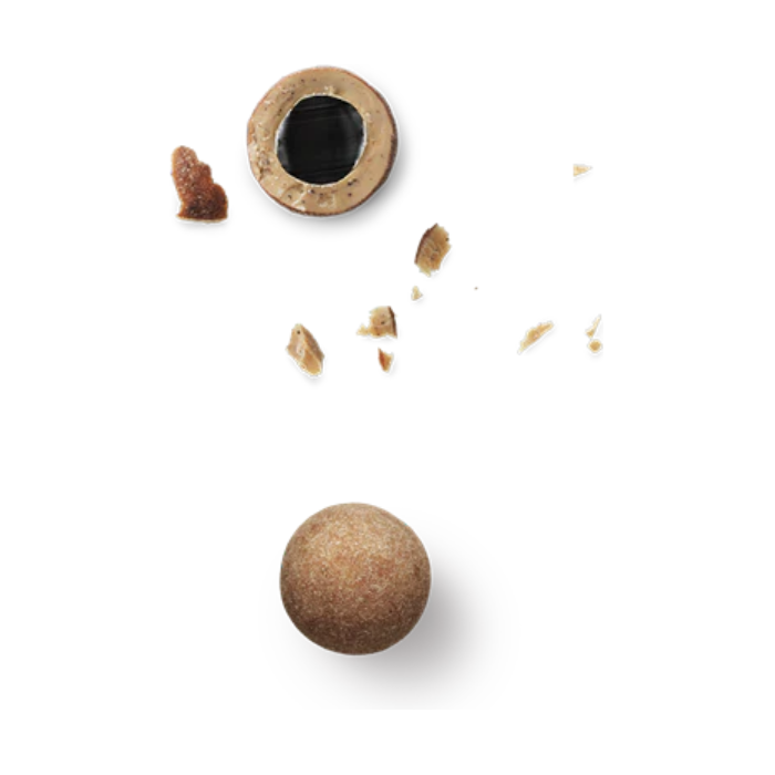 Salt and caramel chocolate‑coated liquorice close‑up