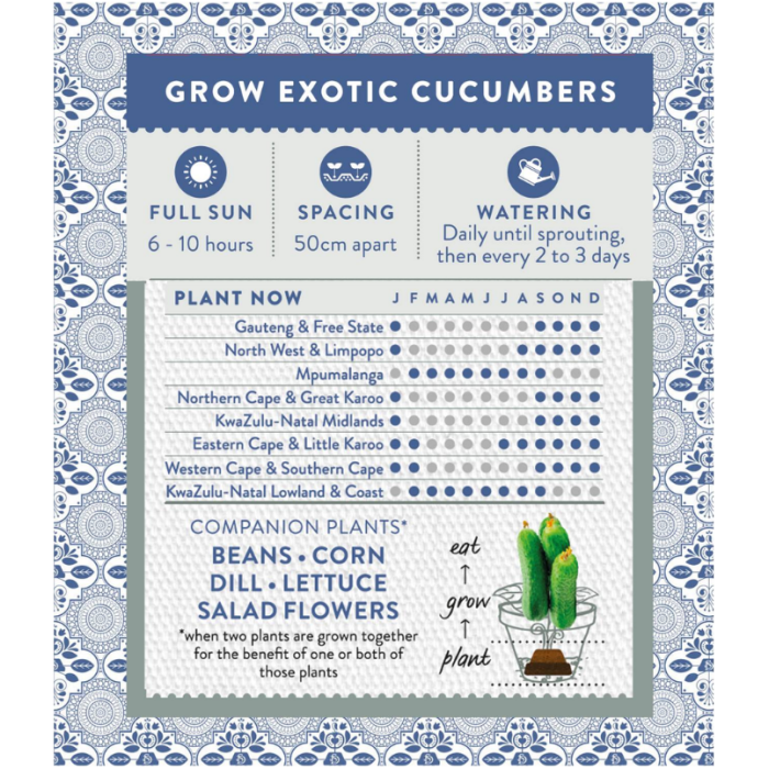 Sow Delicious — Slab of Seed Exotic Cucumbers - Image 4